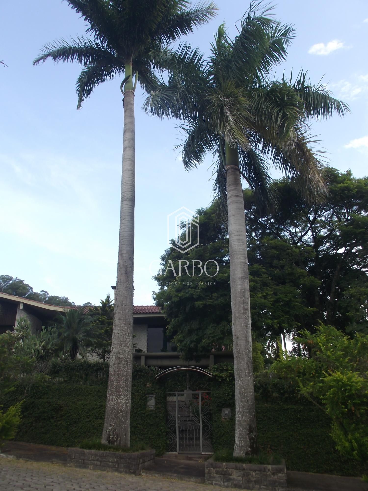 Casa à venda com 5 quartos, 530m² - Foto 6