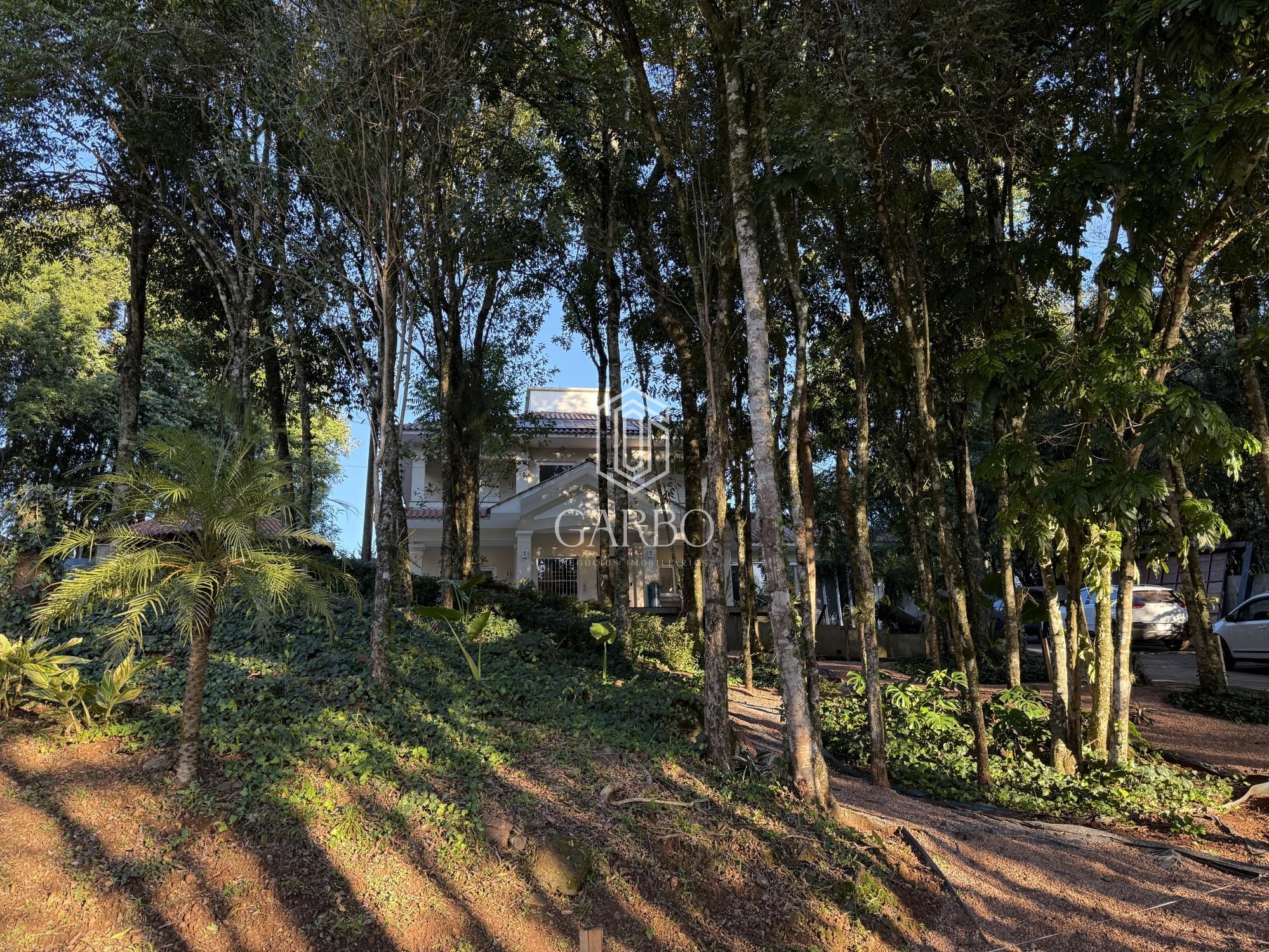 Chácara, 3 quartos, 5308 m² - Foto 2