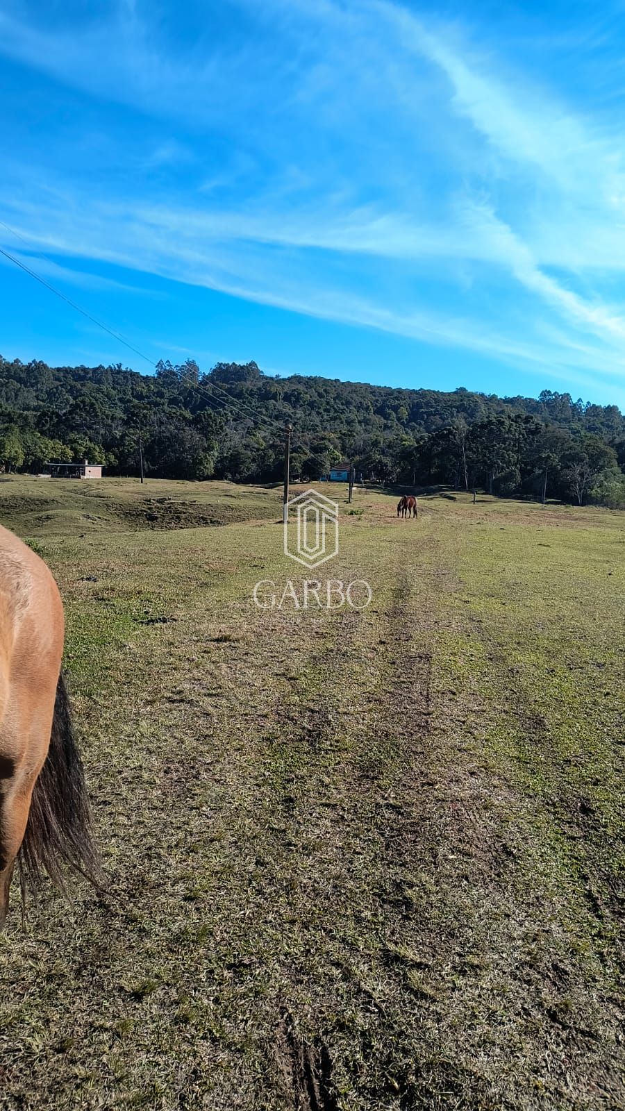 Chácara à venda com 3 quartos, 134000m² - Foto 4