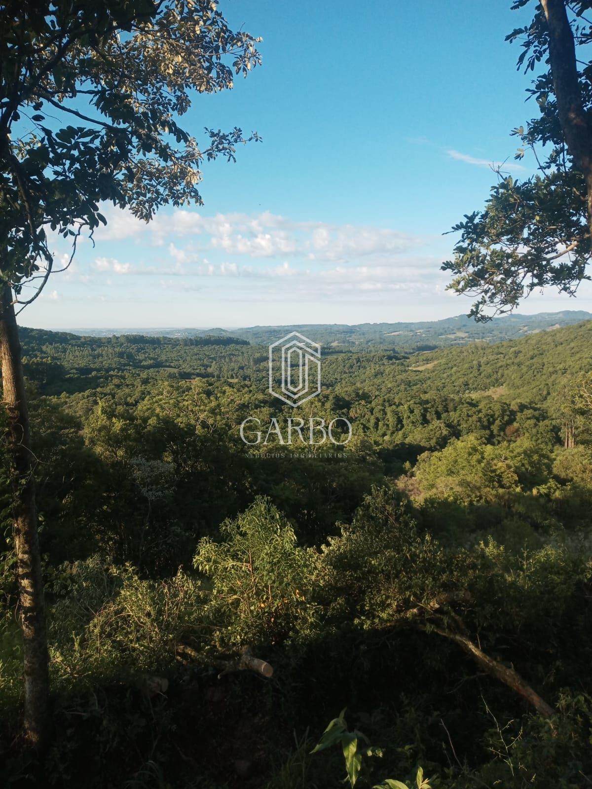 Chácara, 1 quarto, 2 hectares - Foto 3
