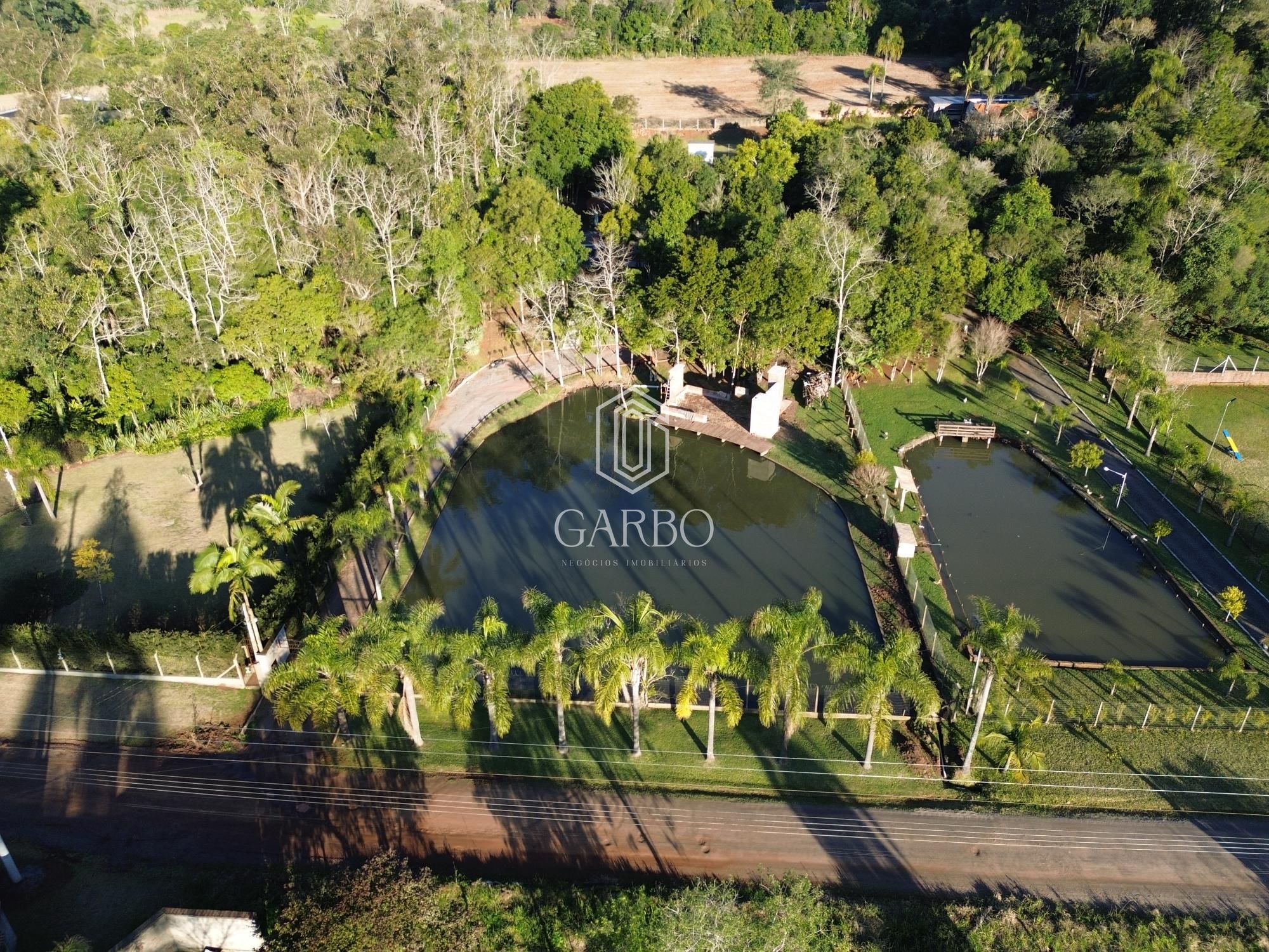 Chácara, 3 quartos, 5308 m² - Foto 3