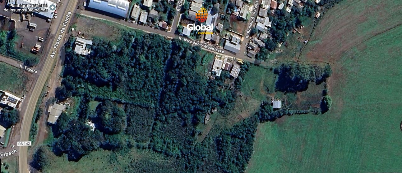 Lote de terras com 1,15 ha proximo Av Flores da Cunha