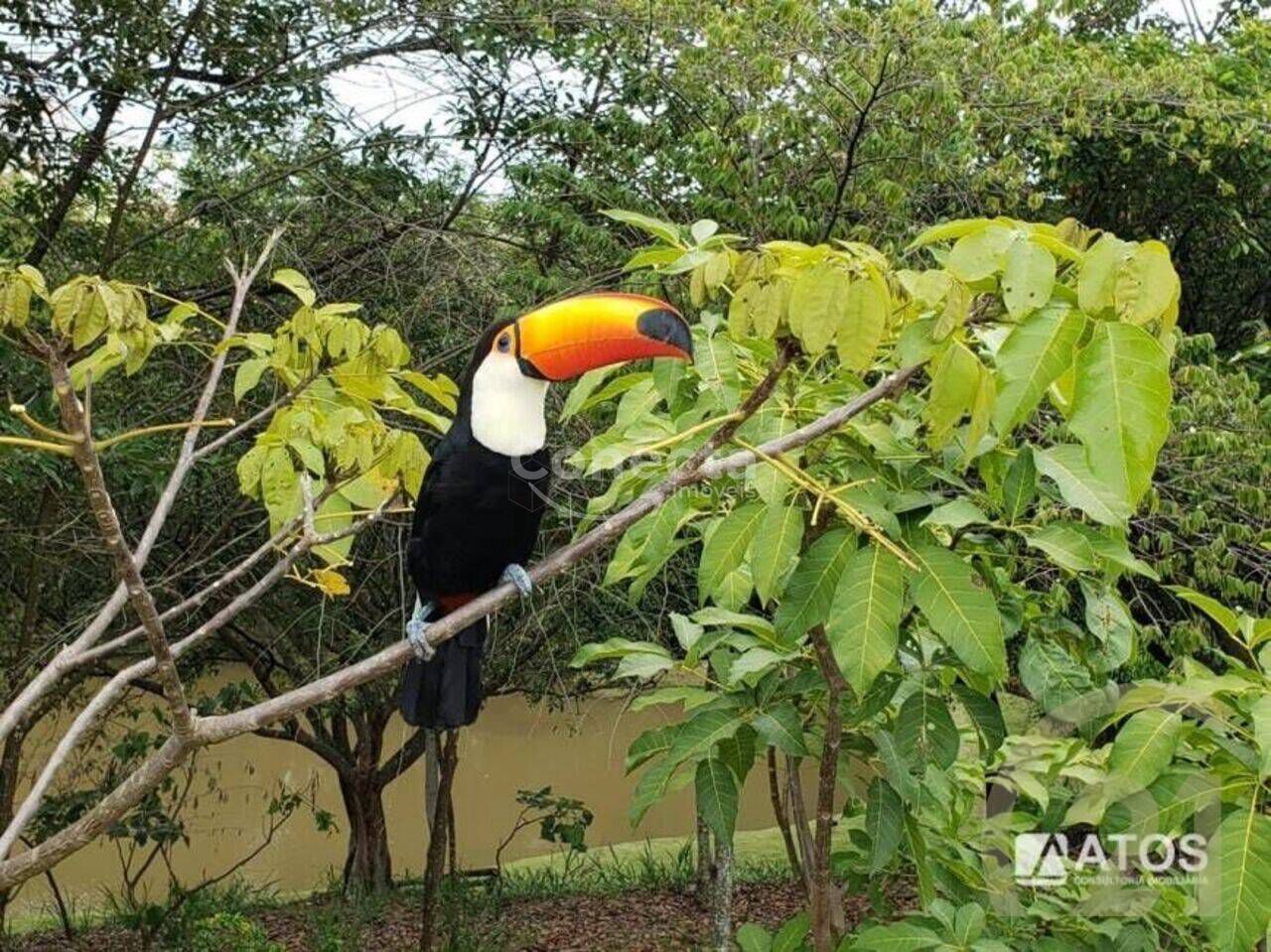 Casa de Condomínio à venda com 4 quartos, 295m² - Foto 30