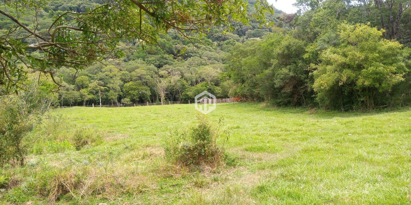 Loteamento e Condomínio, 4 hectares - Foto 3