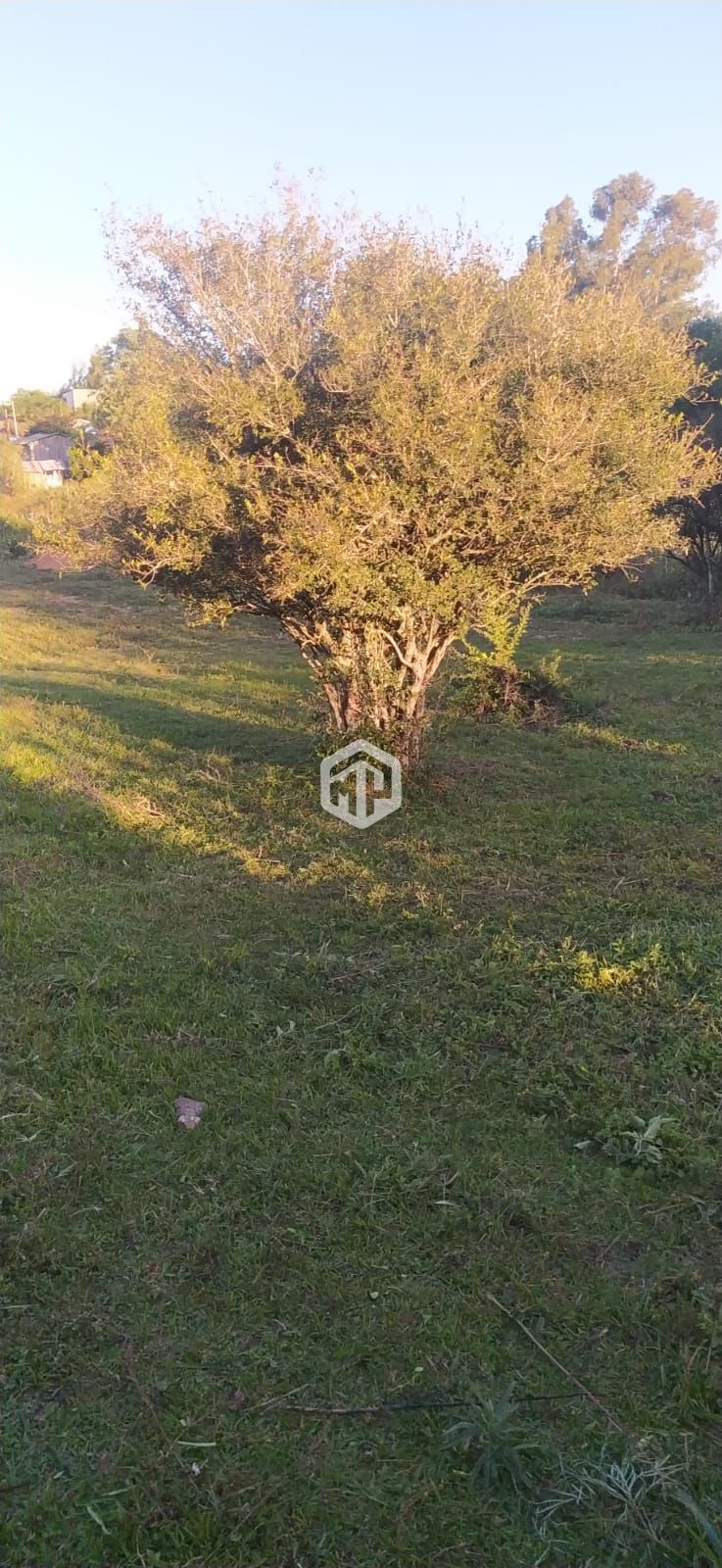 Lote/Terreno de 2000m² no bairro Parque Serrano I, em Itaara | Eu Corretor