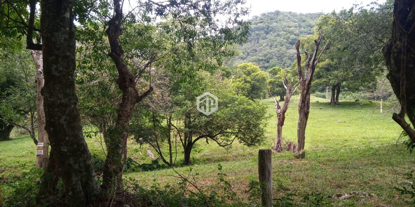 Loteamento e Condomínio, 3 hectares - Foto 4