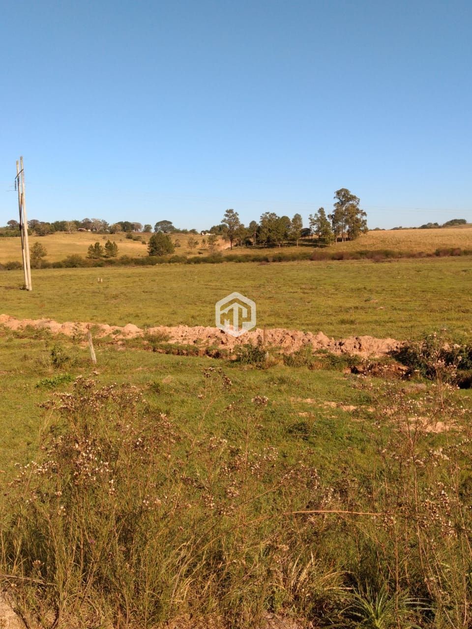 Lote/Terreno Comercial de 51500m² no bairro Pains, em Santa Maria | Eu Corretor