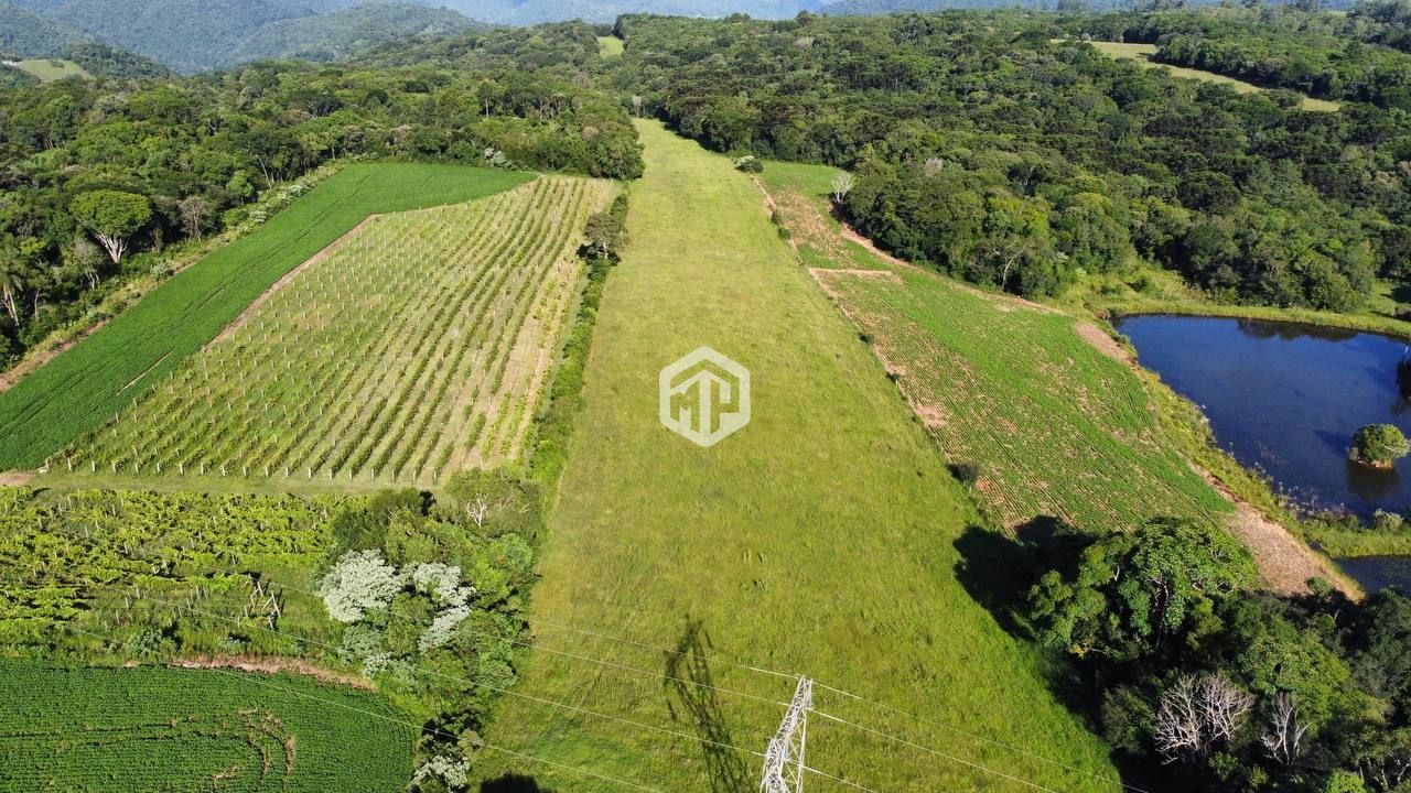 Fazenda à venda com 4 quartos, 220000m² - Foto 6