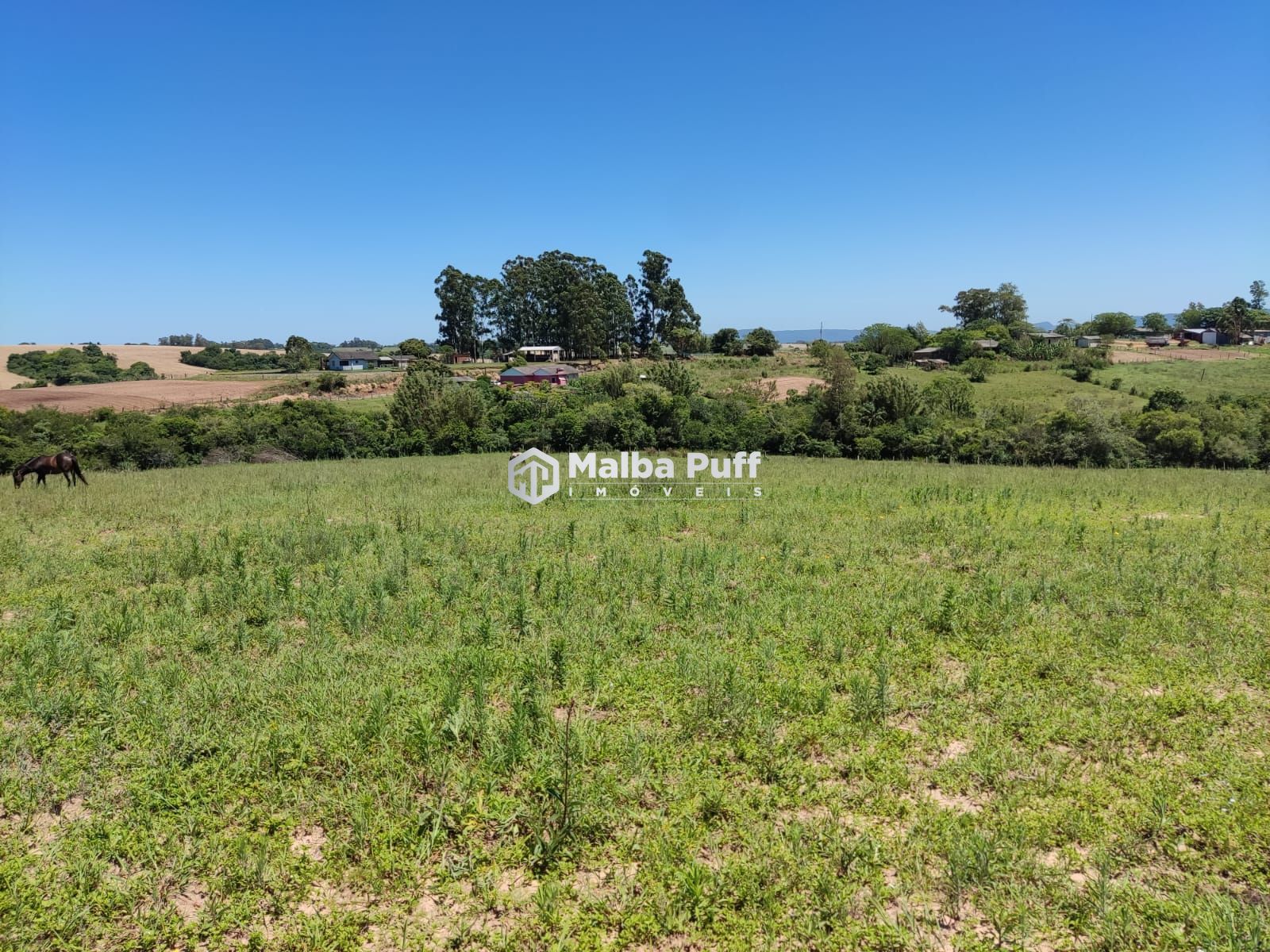 Fazenda à venda com 4 quartos, 15000m² - Foto 25