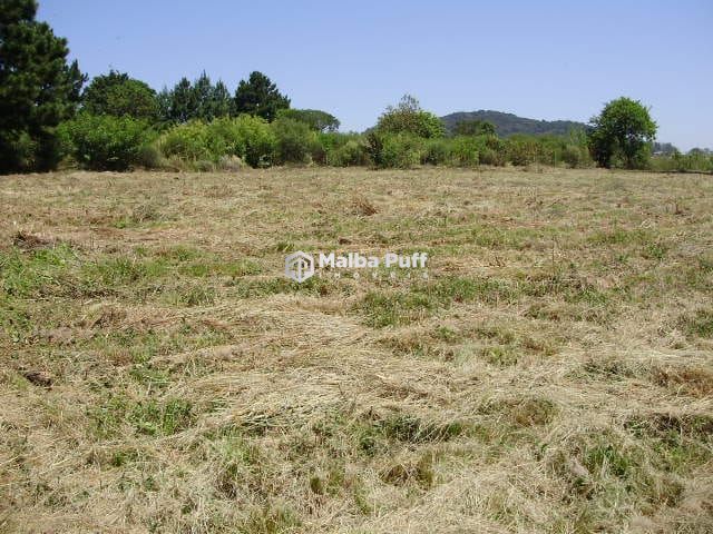 Lote/Terreno de 2275m² no bairro Diácono João Luiz Pozzobon, em Santa Maria | Eu Corretor