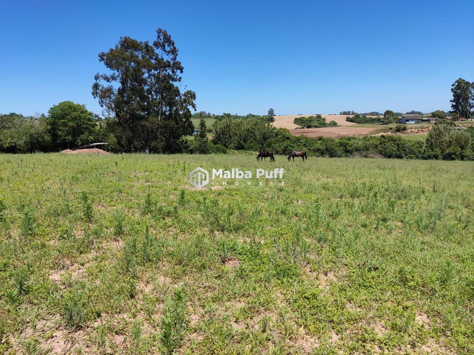 Fazenda à venda com 4 quartos, 15000m² - Foto 19