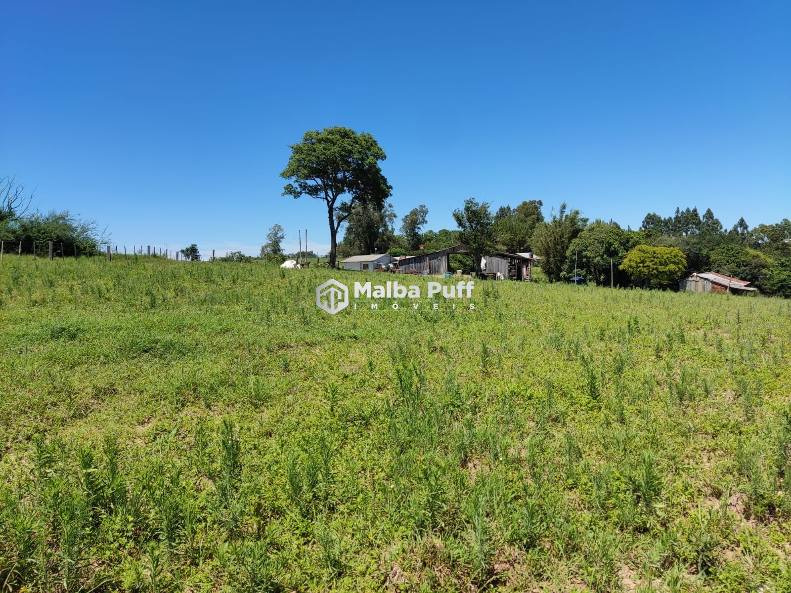 Fazenda à venda com 4 quartos, 15000m² - Foto 22