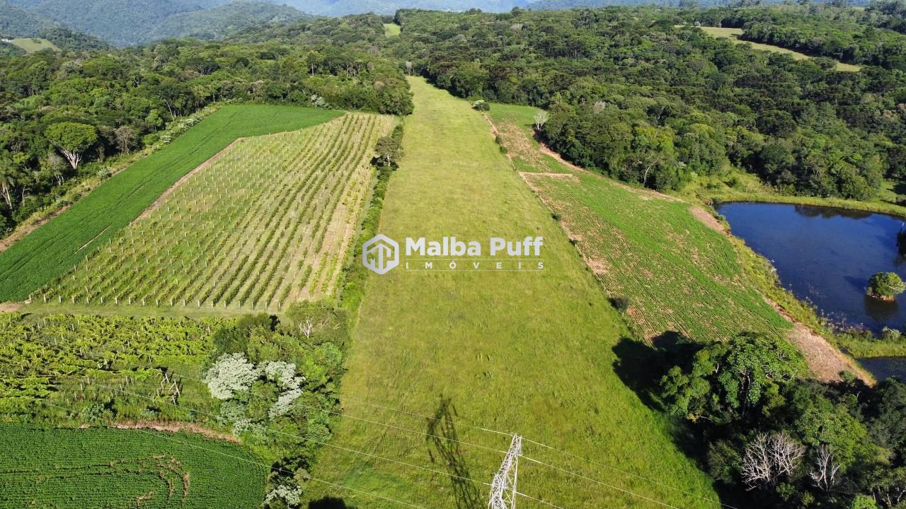 Fazenda à venda com 4 quartos, 220000m² - Foto 6