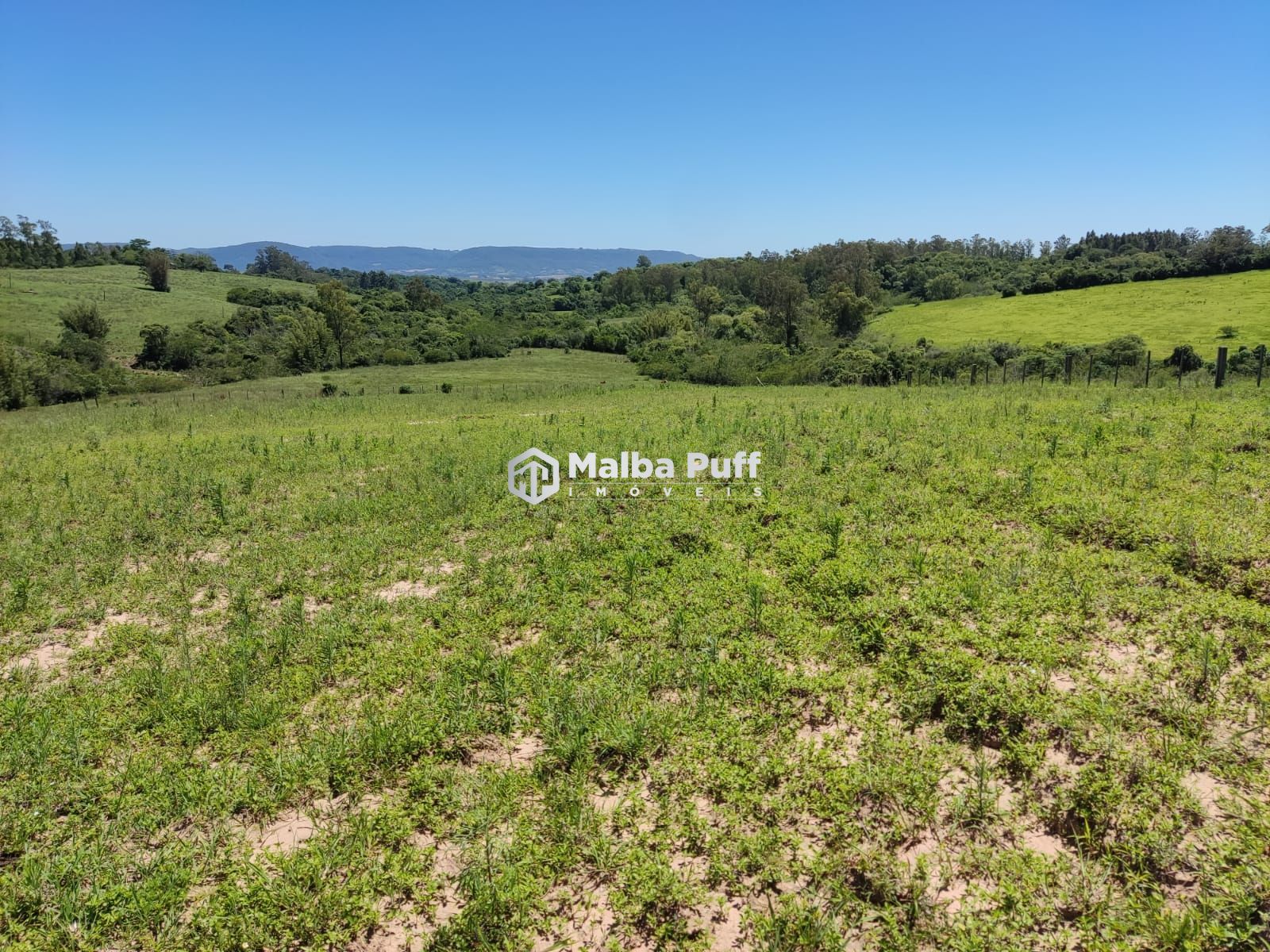 Fazenda à venda com 4 quartos, 15000m² - Foto 21