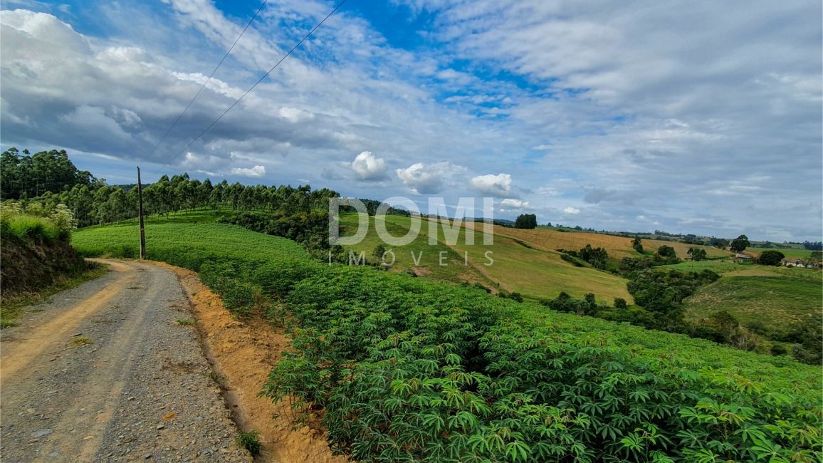 Terreno/Lote à venda, 137 m² por R$ 2.000.000,00
