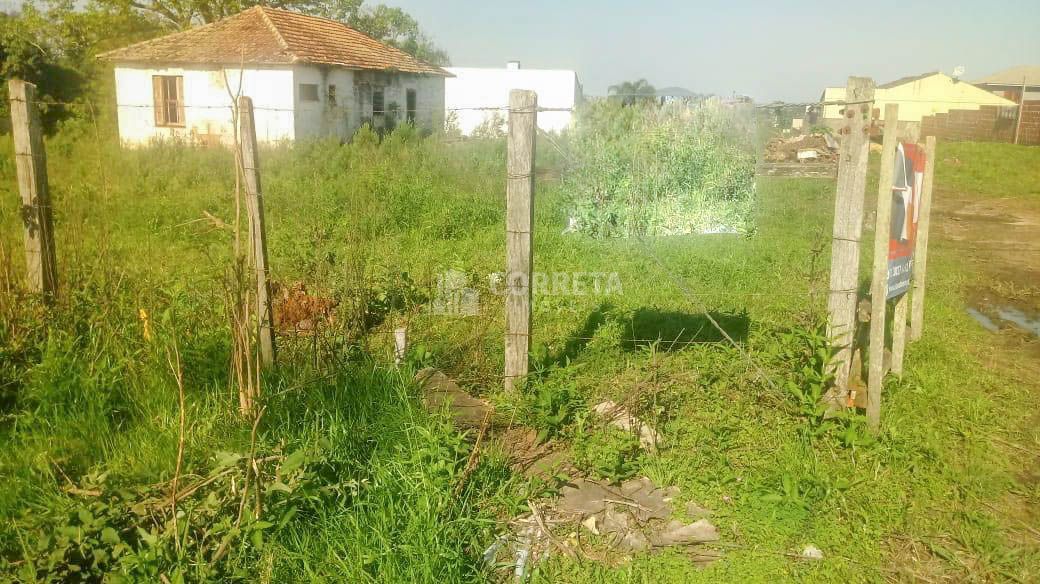 Terreno - Pinheiro Machado - Santa Maria / RS