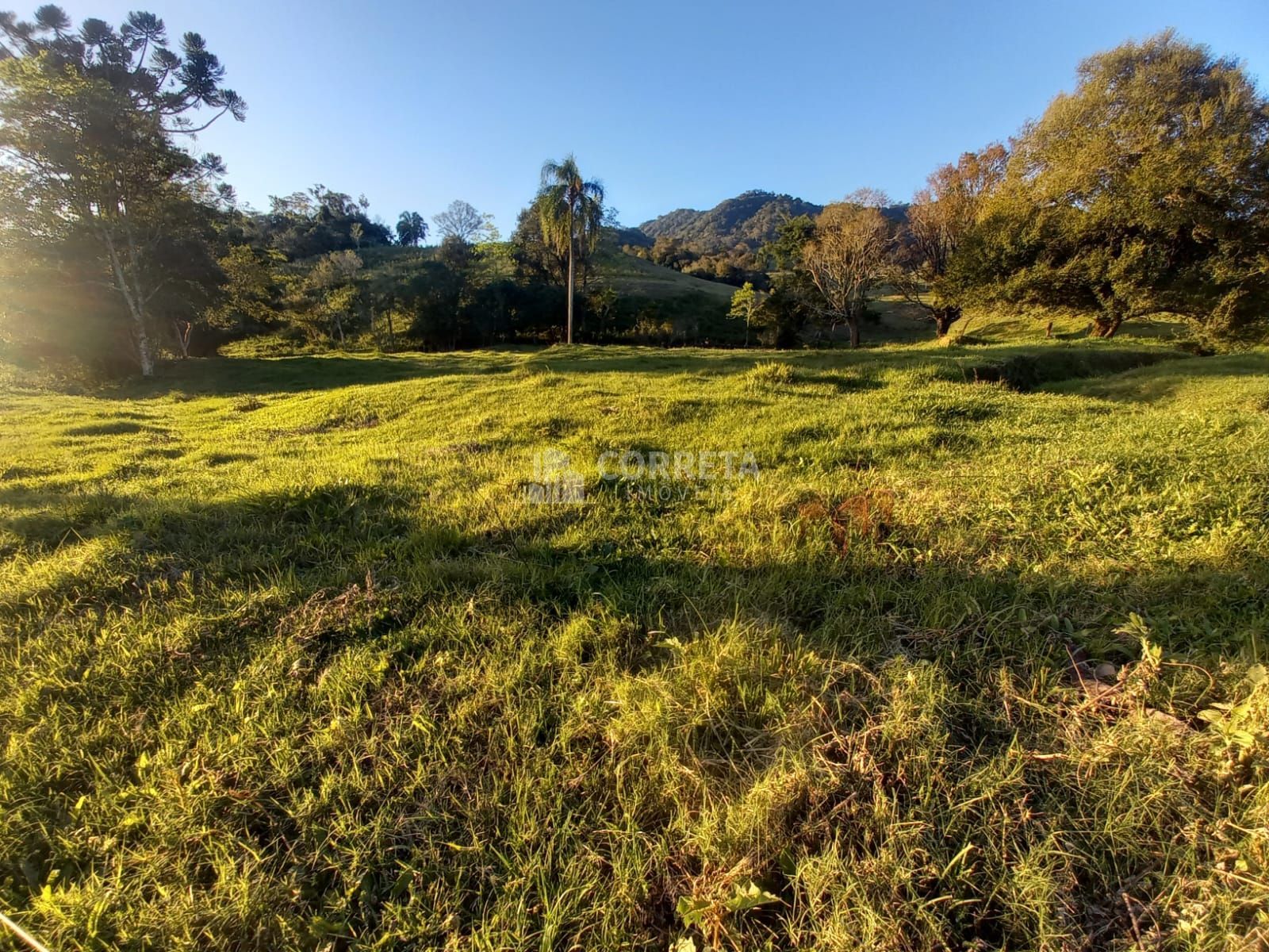 Terreno à venda, 300000m² - Foto 5