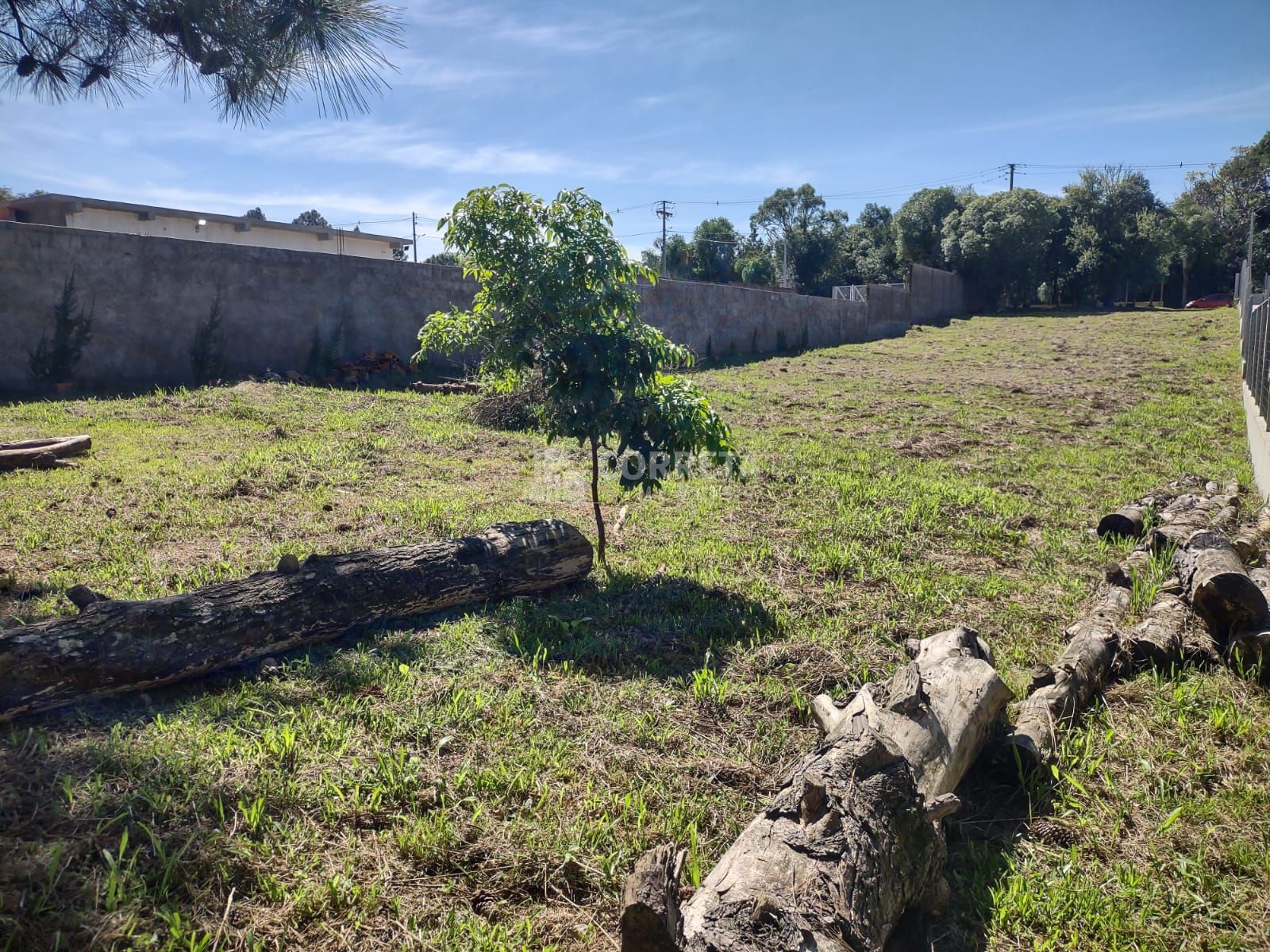 Terreno, 1208 m² - Foto 4