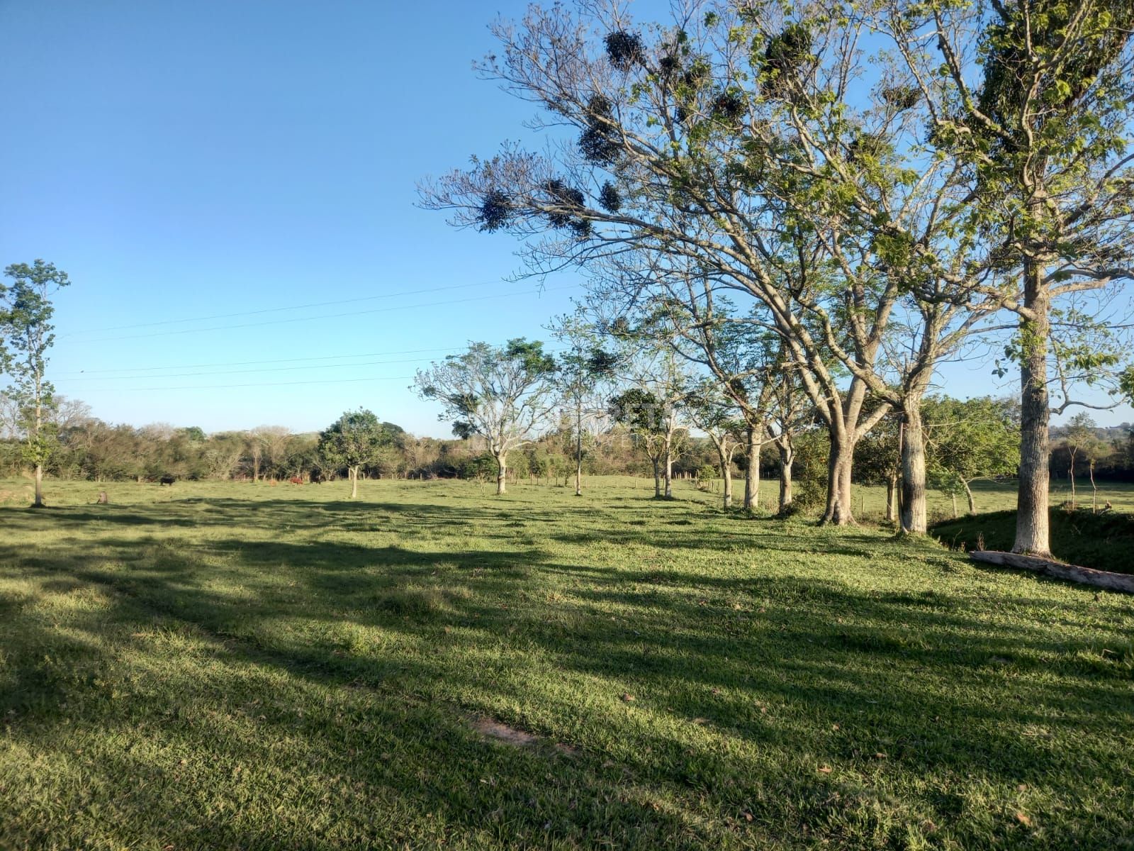 Terreno à venda, 300000m² - Foto 3