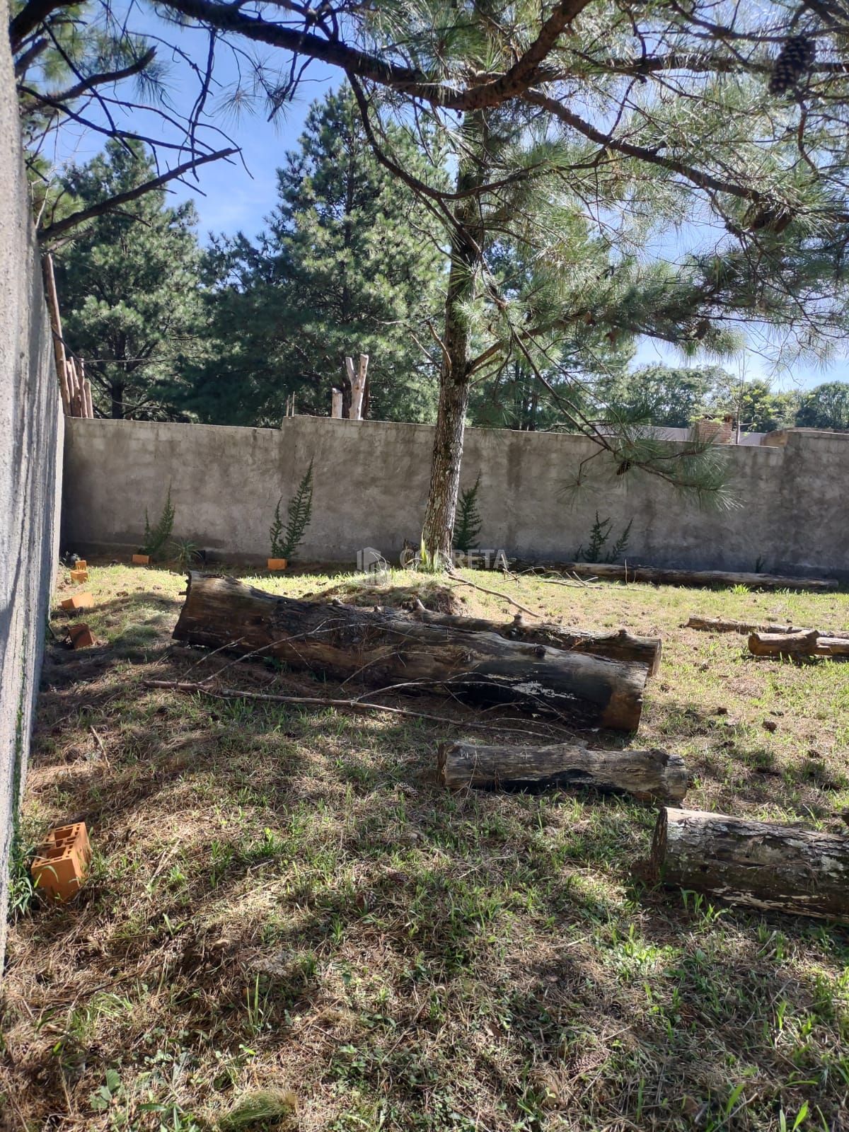 Terreno, 1208 m² - Foto 7