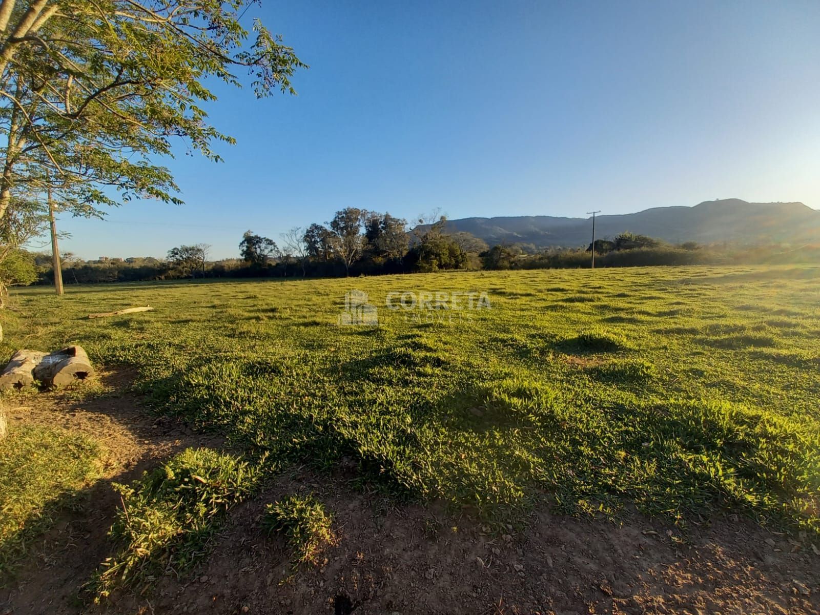 Terreno à venda, 300000m² - Foto 4