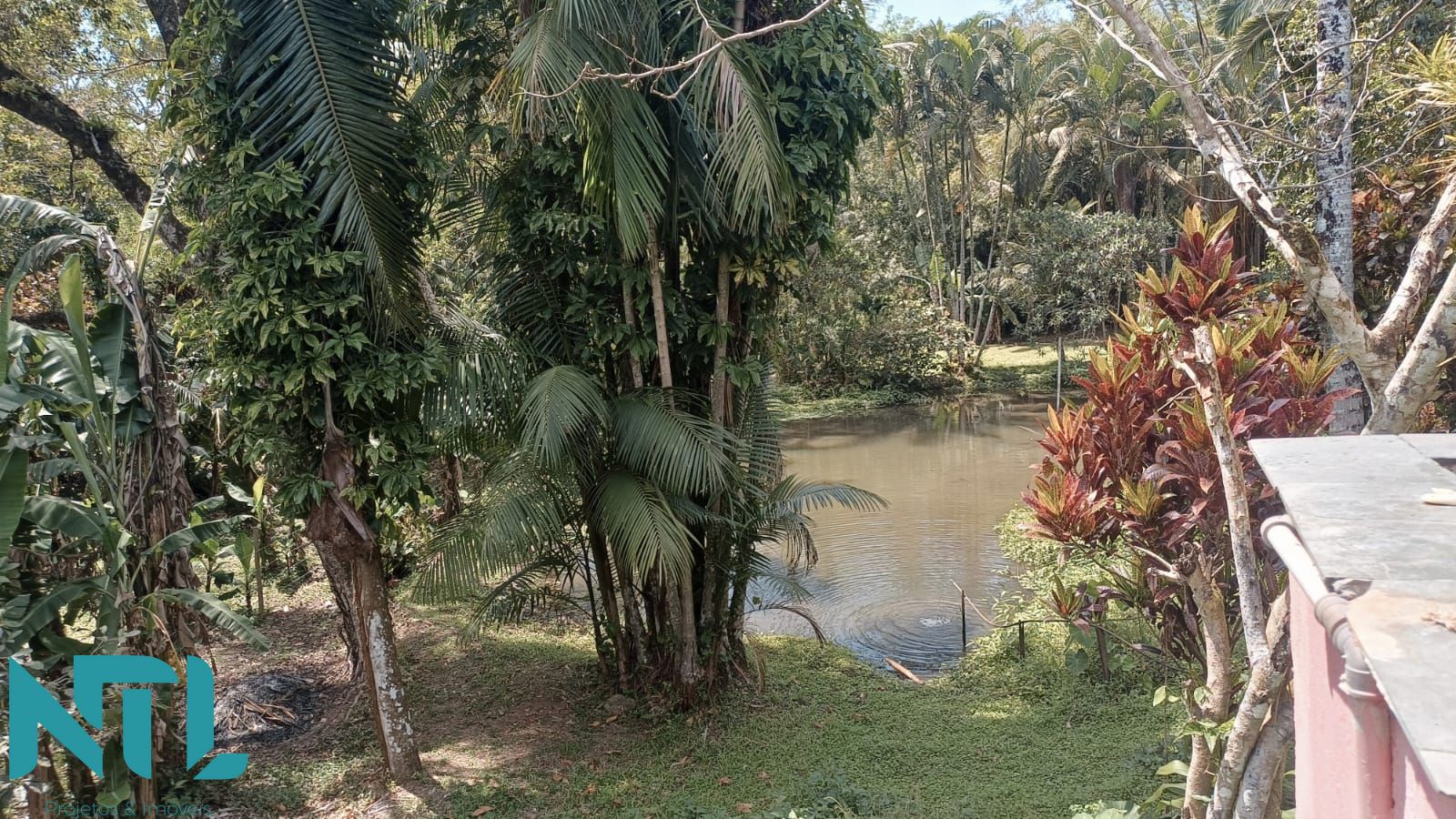 Sítio, 4 quartos, 3300 m² - Foto 15