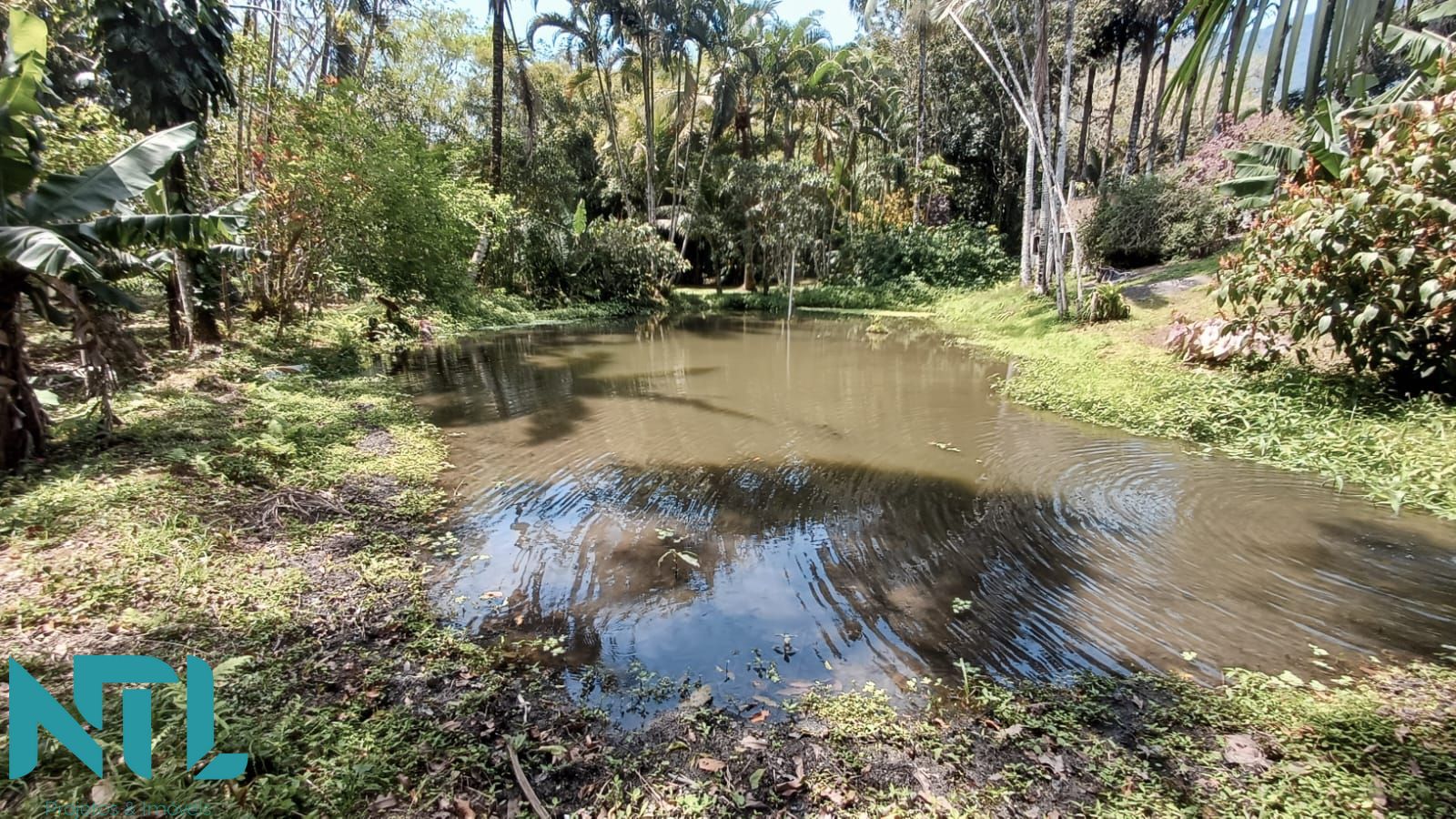 Sítio, 4 quartos, 3300 m² - Foto 23