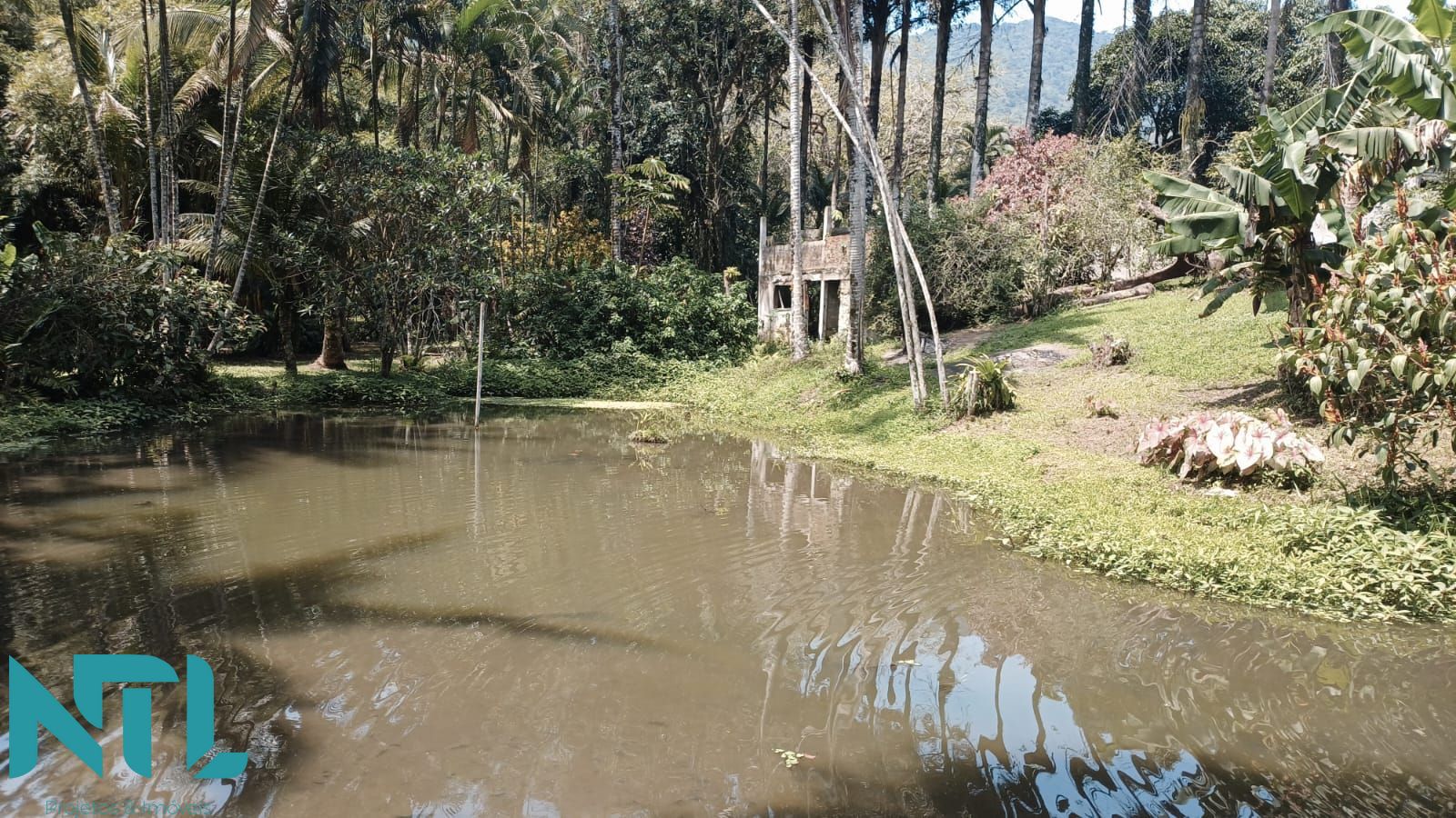 Sítio, 4 quartos, 3300 m² - Foto 14