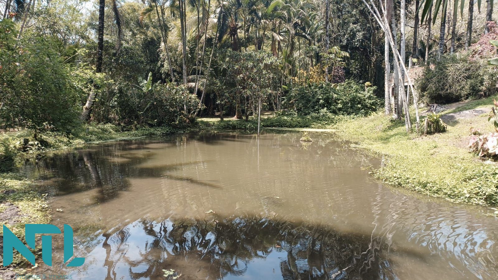 Sítio, 4 quartos, 3300 m² - Foto 24