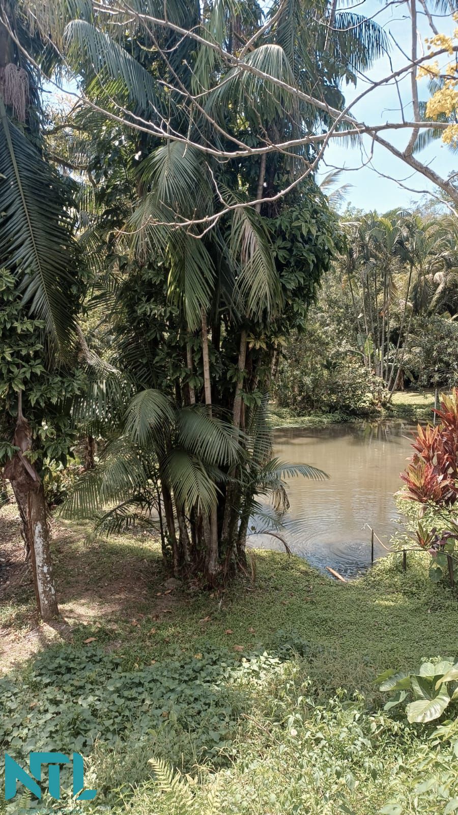 Sítio, 4 quartos, 3300 m² - Foto 22