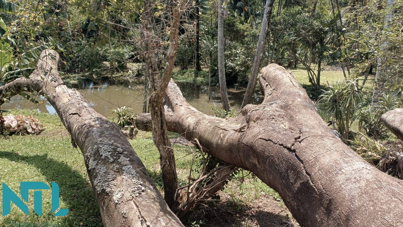 Sítio, 4 quartos, 3300 m² - Foto 1