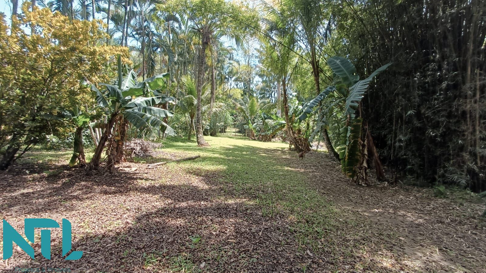 Sítio, 4 quartos, 3300 m² - Foto 30