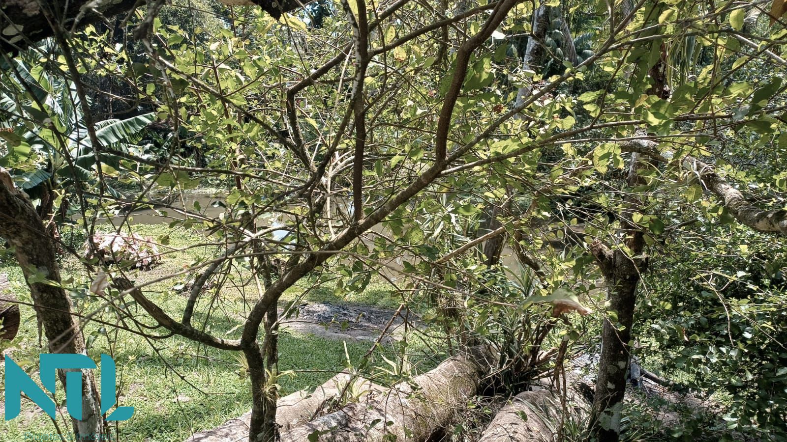 Sítio, 4 quartos, 3300 m² - Foto 2