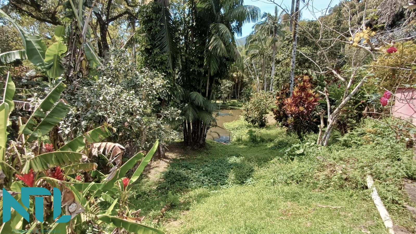 Sítio, 4 quartos, 3300 m² - Foto 12