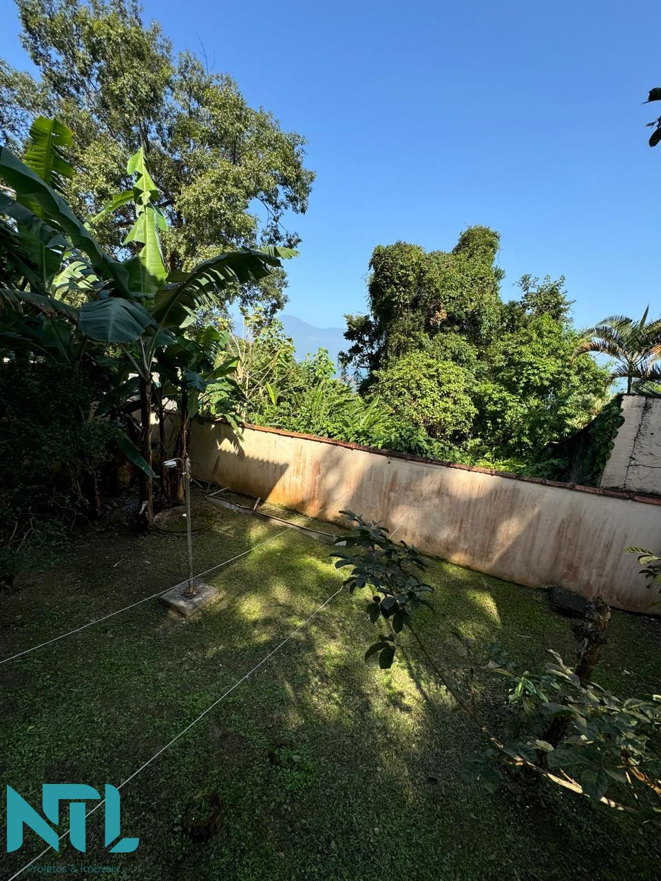 img71367309