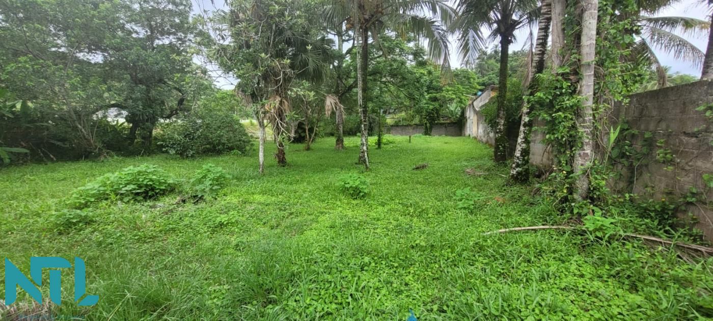 Terreno, 752 m² - Foto 11