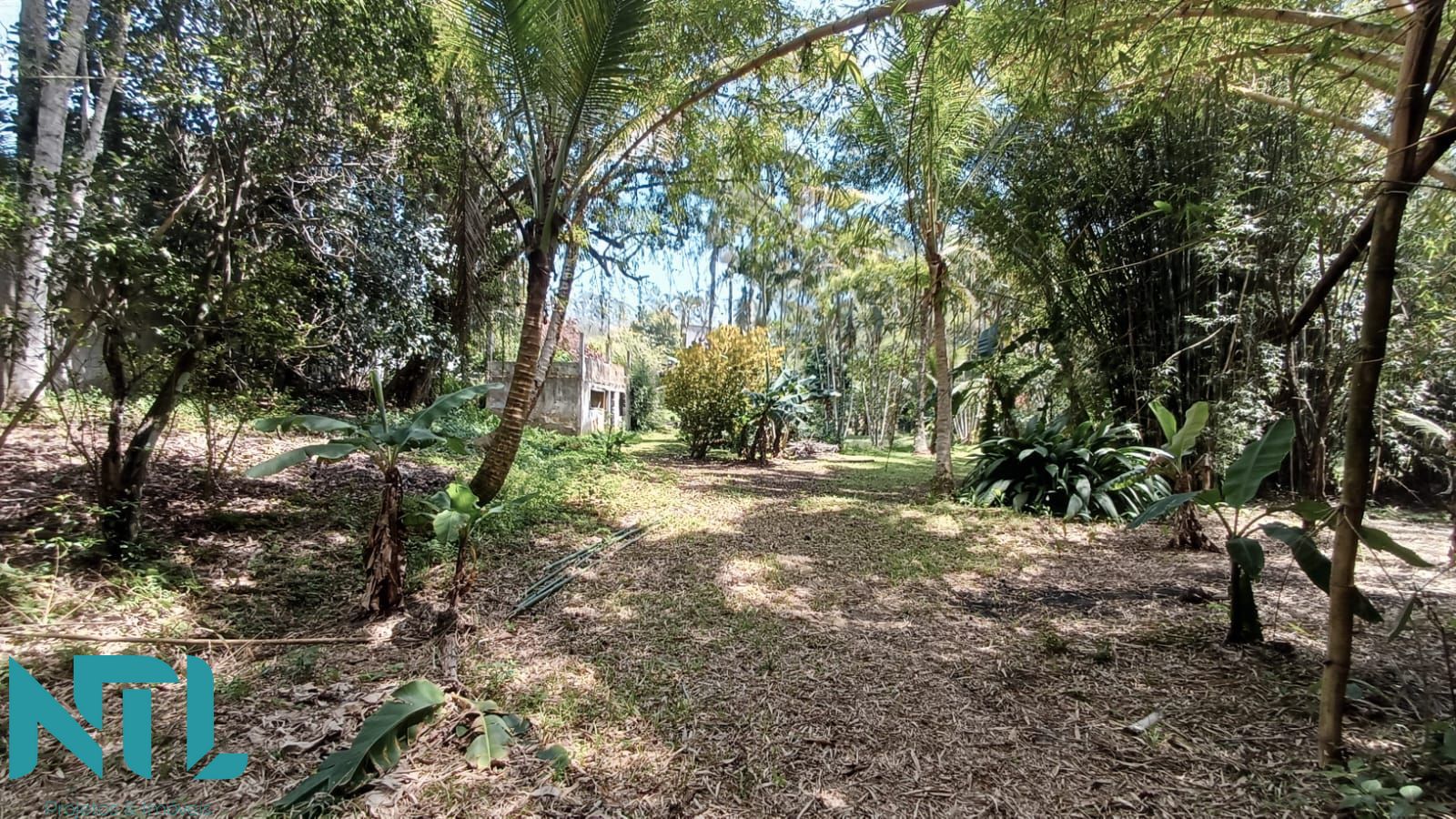 Sítio, 4 quartos, 3300 m² - Foto 21