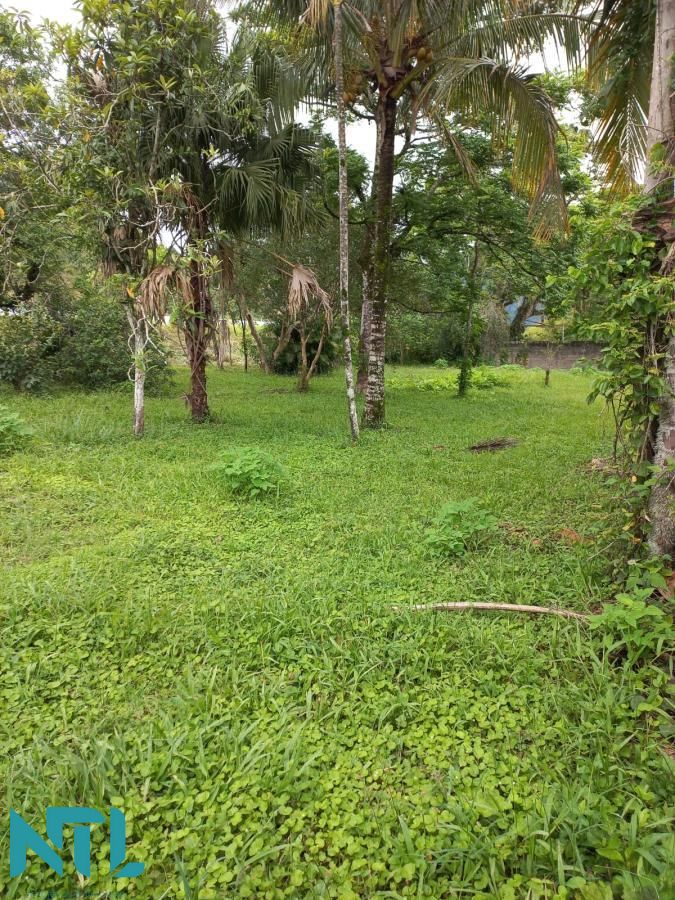 Terreno, 752 m² - Foto 7