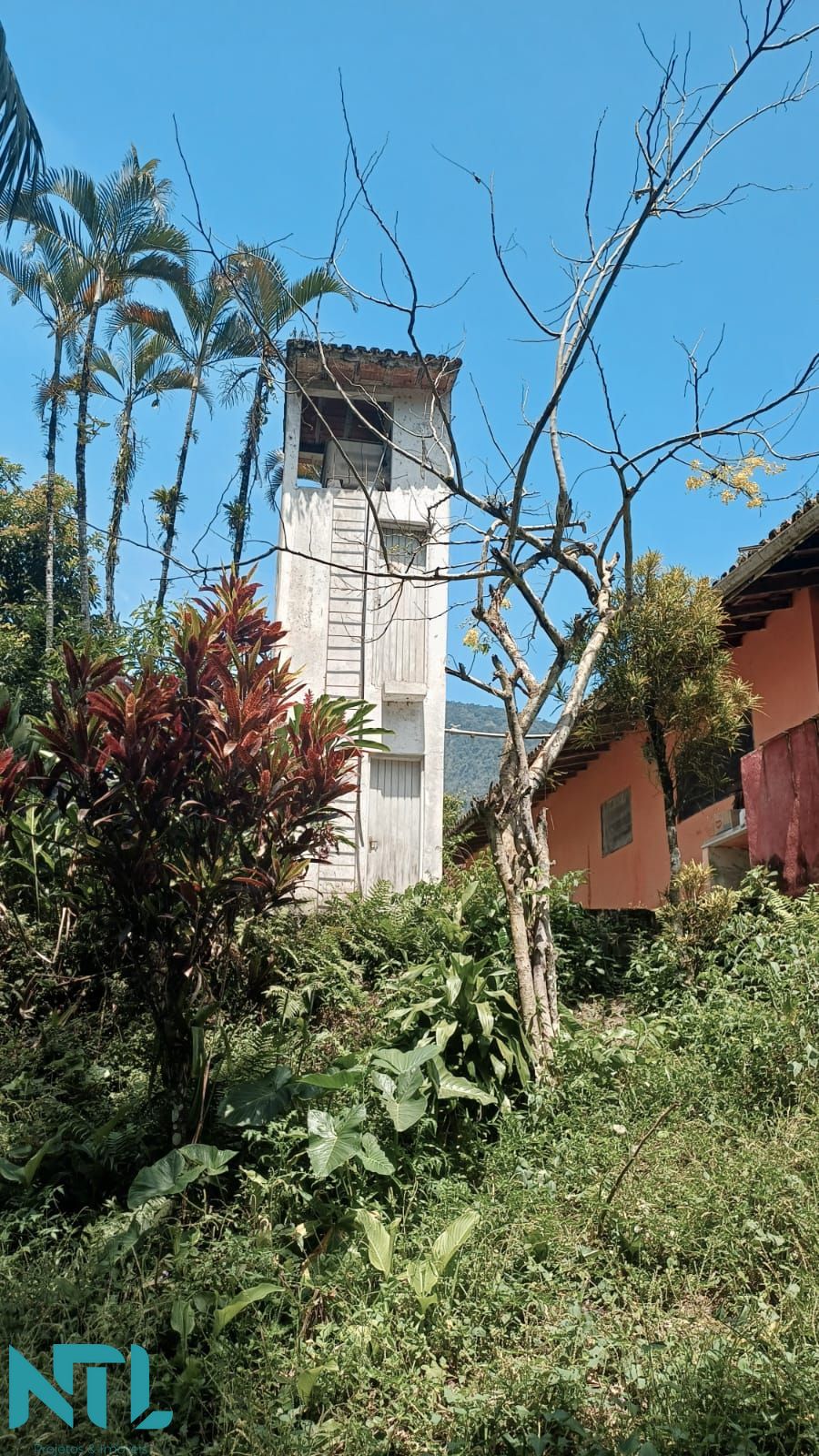 Sítio, 4 quartos, 3300 m² - Foto 4