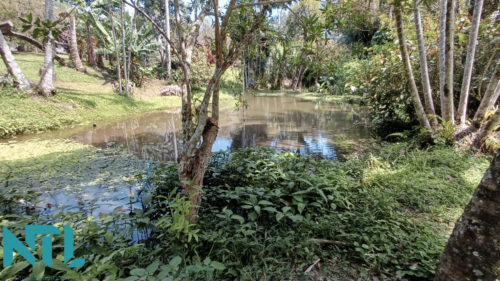 Sítio, 4 quartos, 3300 m² - Foto 8