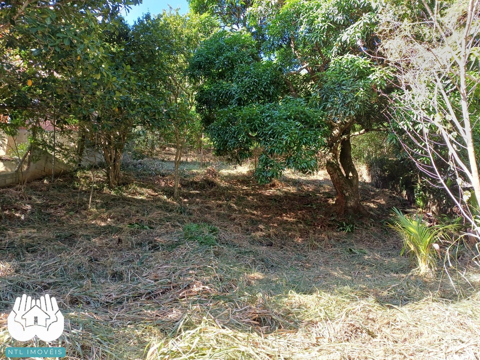 Terreno à venda, 740m² - Foto 7