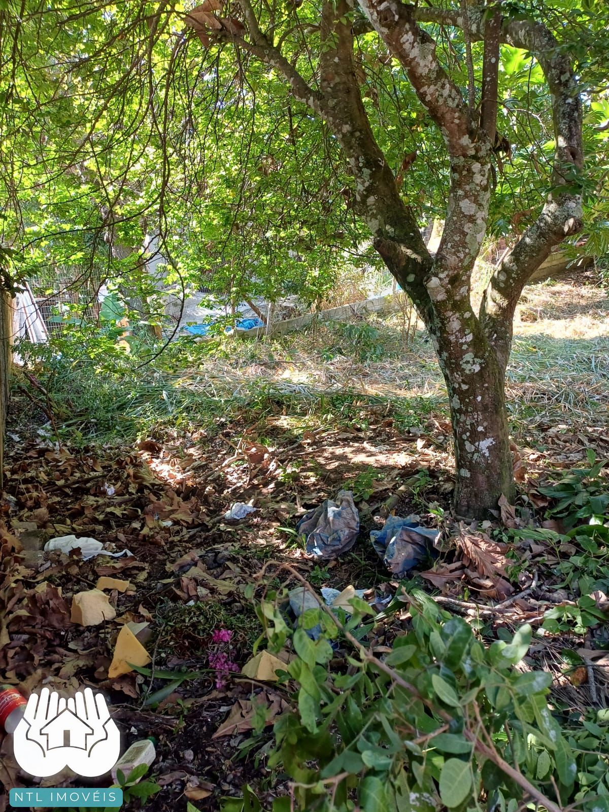 Terreno à venda, 740m² - Foto 5