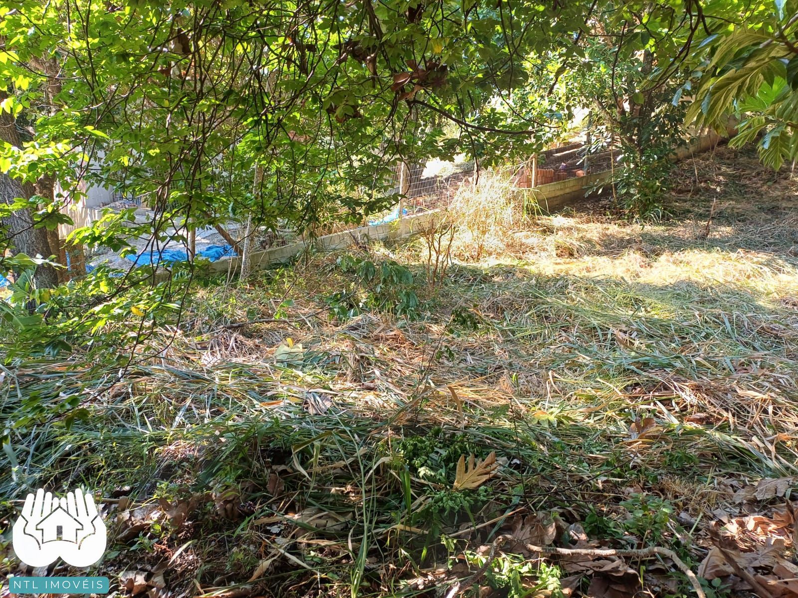 Terreno à venda, 740m² - Foto 6