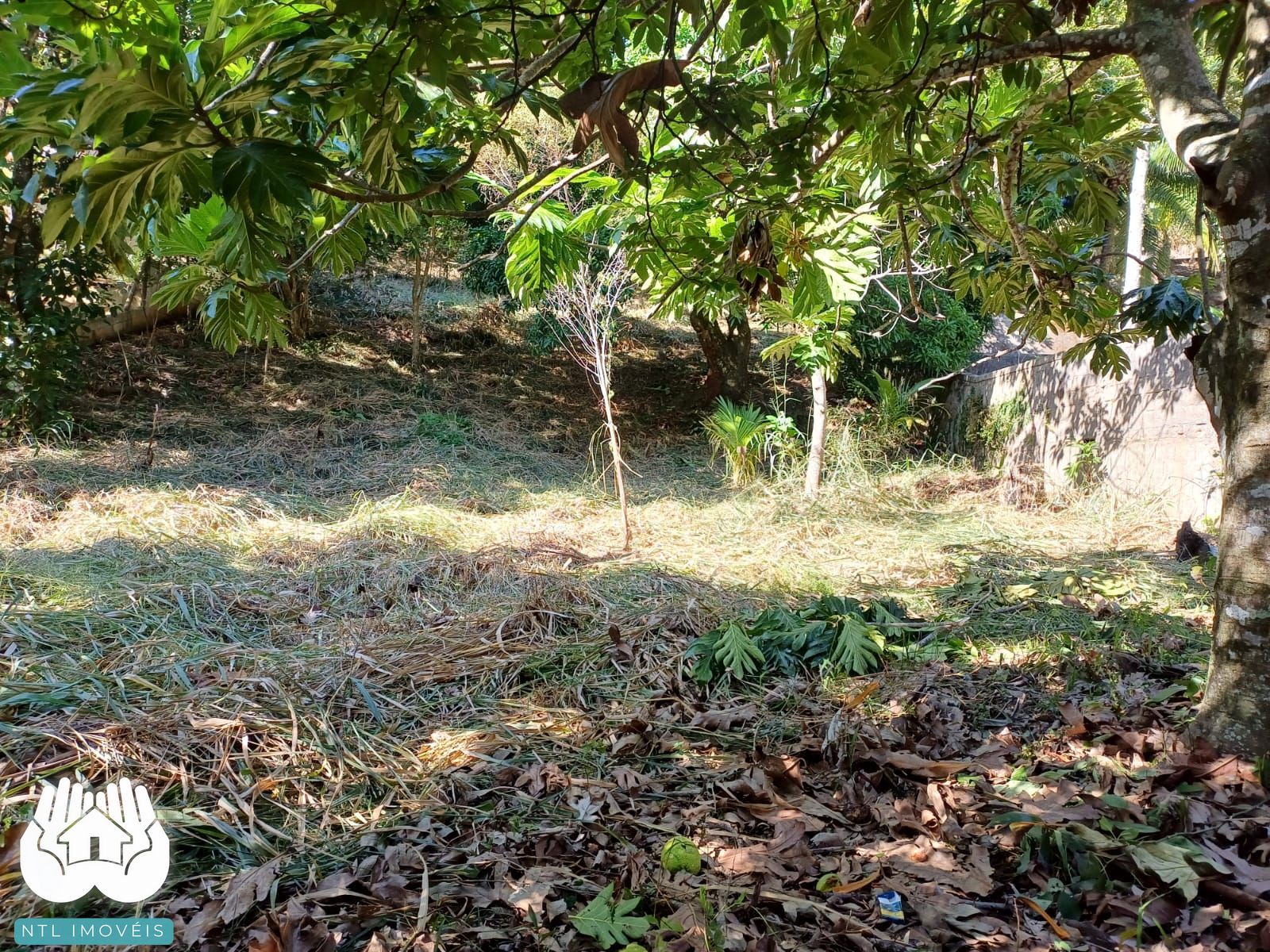 Terreno à venda, 740m² - Foto 2