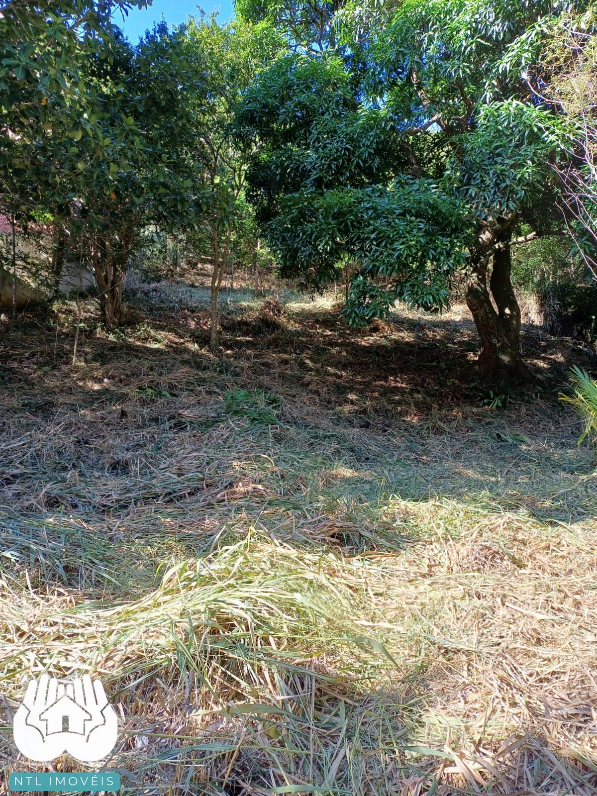 Terreno à venda, 740m² - Foto 3