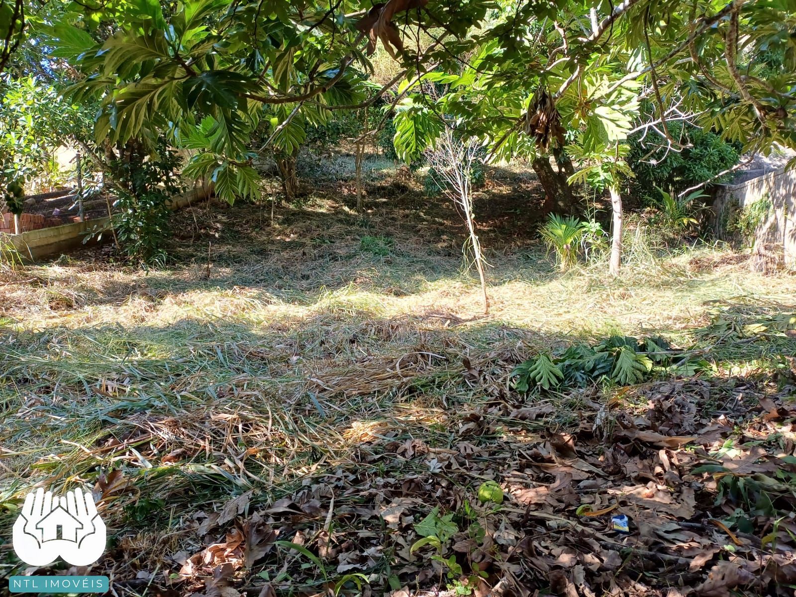 Terreno à venda, 740m² - Foto 1