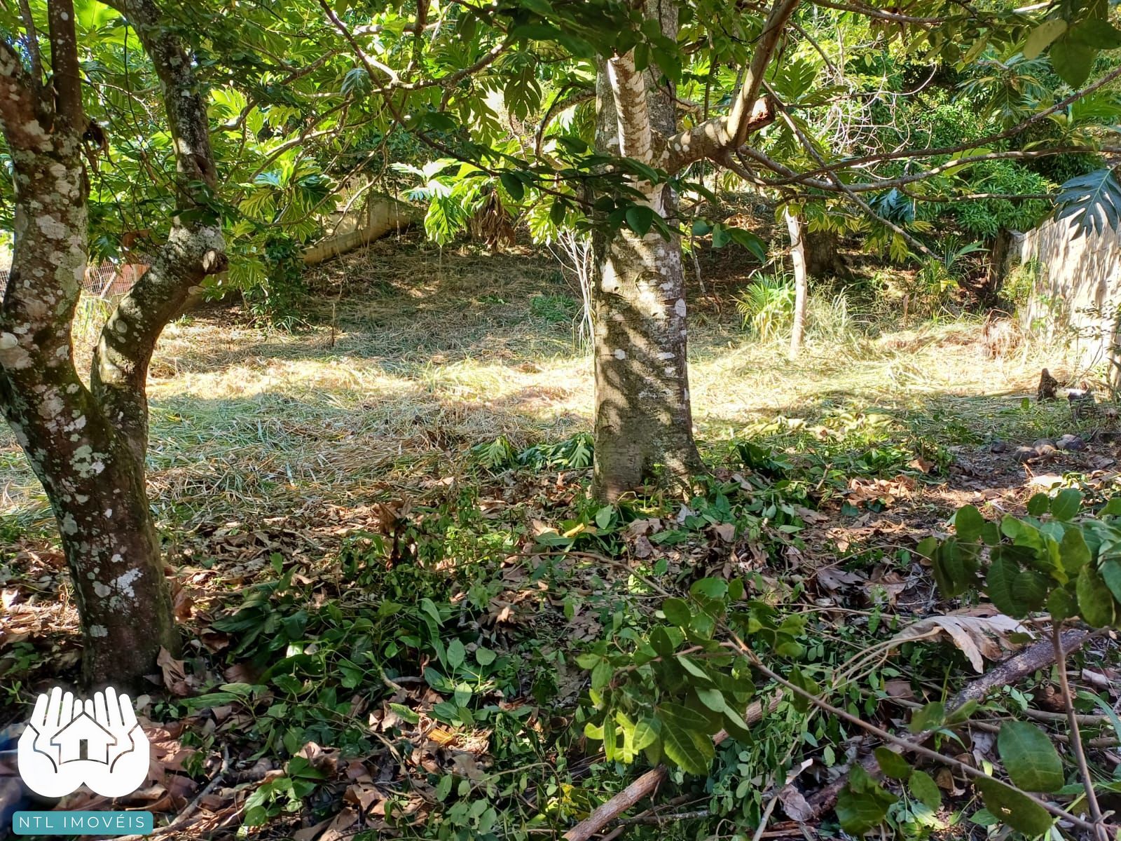 Terreno à venda, 740m² - Foto 4