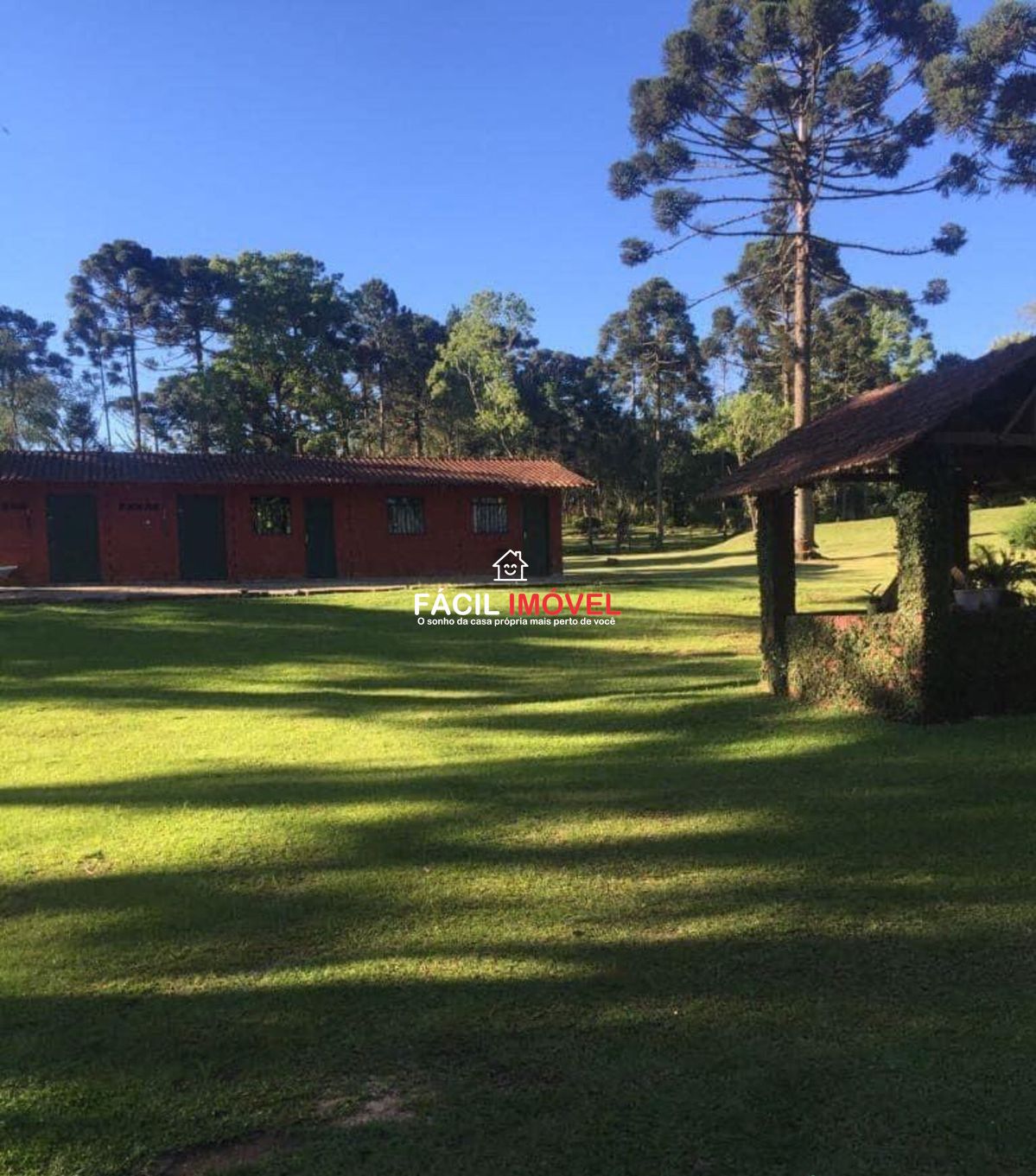 Chácara à venda com 2 quartos, 48000m² - Foto 4