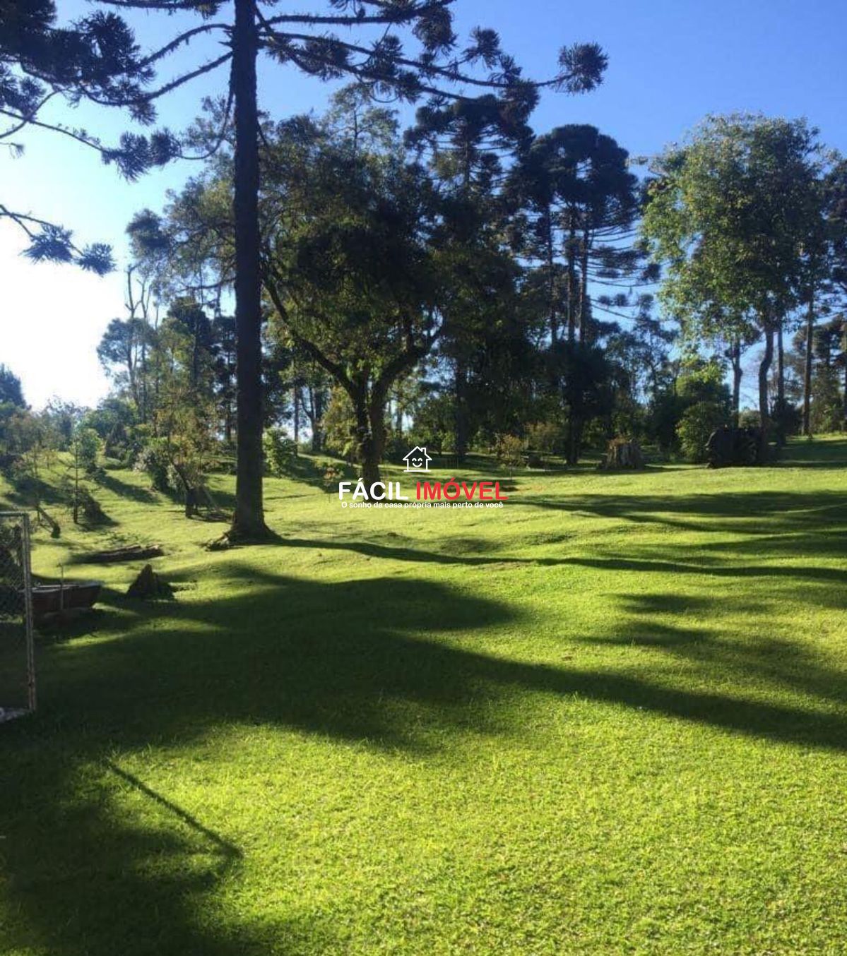 Chácara à venda com 2 quartos, 48000m² - Foto 5