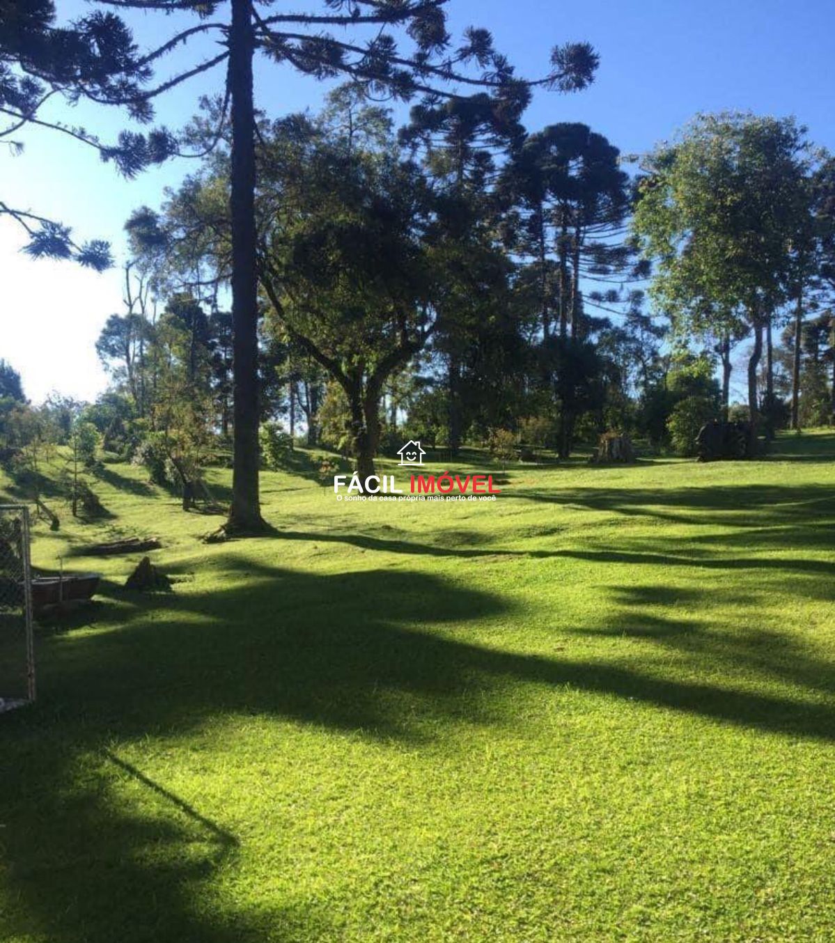 Fazenda à venda com 2 quartos, 48000m² - Foto 5